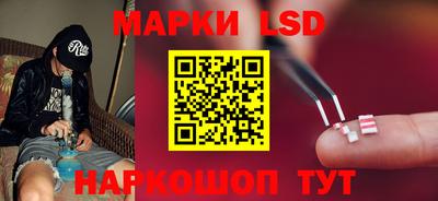 a pvp Тара