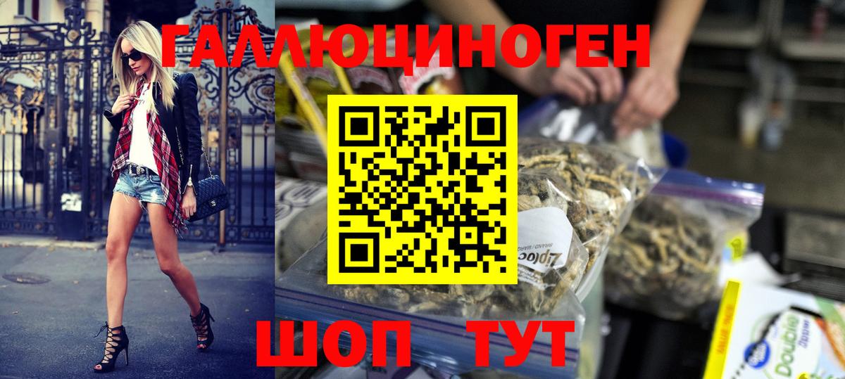 Галлюциногенные грибы MAGIC MUSHROOMS  Вход с VPN  цена наркотик  Псилоцибиновые грибы ЛСД  Аргун 